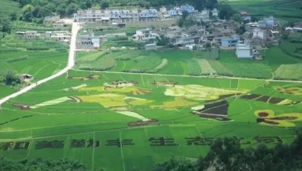 云南禄丰市勤丰镇：垃圾热解助力乡村洁净美