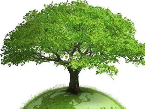 引得金融活水来——《关于推进开发性金融支持县域生活垃圾污水处理设施建设的通知》解读