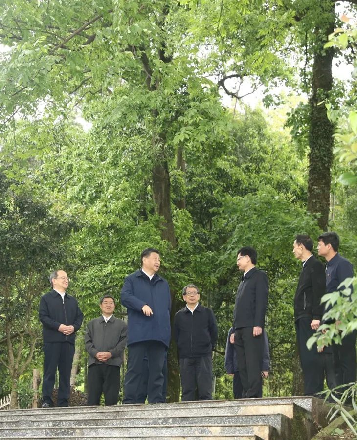 农村人居环境整治,习近平总书记始终记挂在心 农村人居环境整治,习近平总书记始终记挂在心
