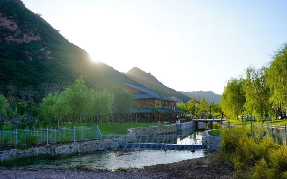 农村人居环境整治,习近平总书记始终记挂在心 农村人居环境整治,习近平总书记始终记挂在心