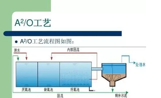 影响A2O工艺出水效果的因素